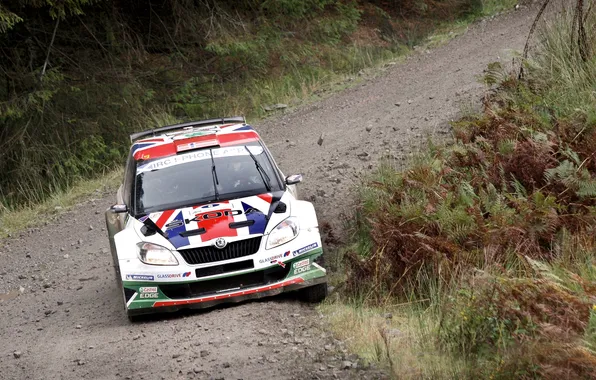 Picture Road, Turn, The hood, Rally, Rally, The front, Skoda, Fabia