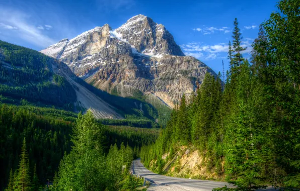 Picture road, greens, forest, the sky, the sun, trees, mountains, rocks