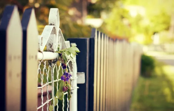 Summer, flowers, the city, street, the fence, wicket, blur, bokeh