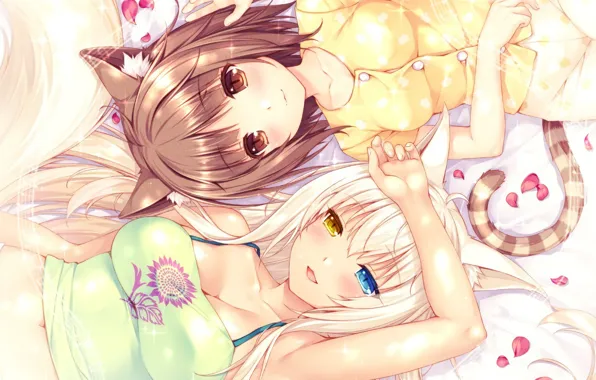 Kawaii, girl, nothing, anime, cat, tail, pretty, asian