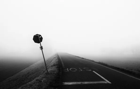 Picture road, fog, sign