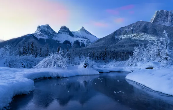 Winter, snow, trees, mountains, river, Canada, Albert, Alberta