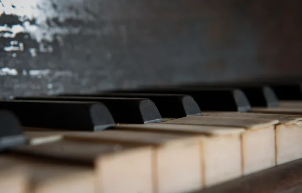 Macro, music, piano