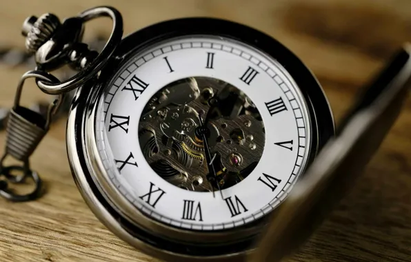 Mechanism, Roman numerals, Pocket watch