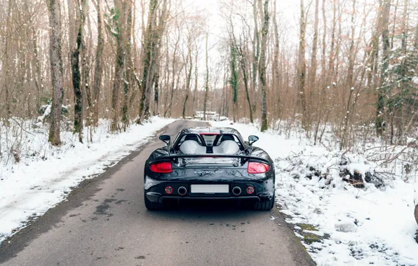 Picture Porsche, rear, Porsche Carrera GT