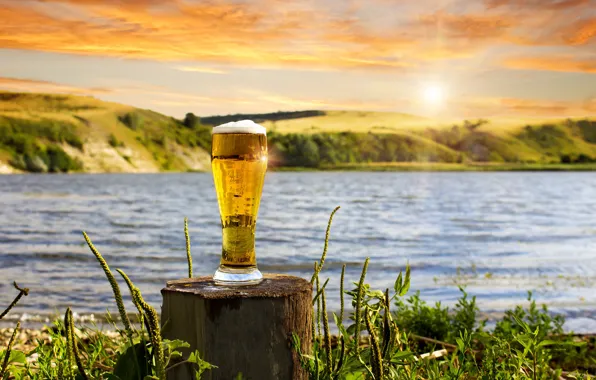 Grass, foam, the sun, landscape, nature, glass, river, beer
