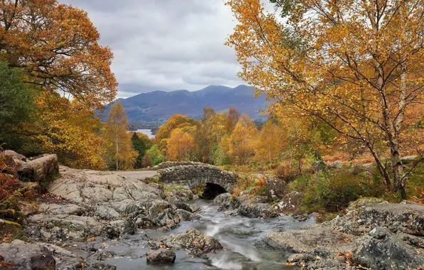Autumn, bridge, river