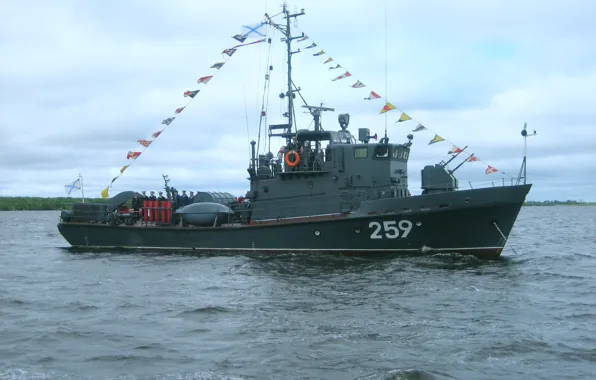 Minesweeper, RAID, RT-236