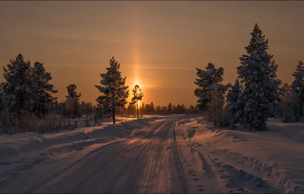 Picture winter, landscape, sunset