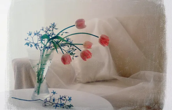 Picture flowers, photo, sofa, treatment, bouquet, tulips, pillow, vase