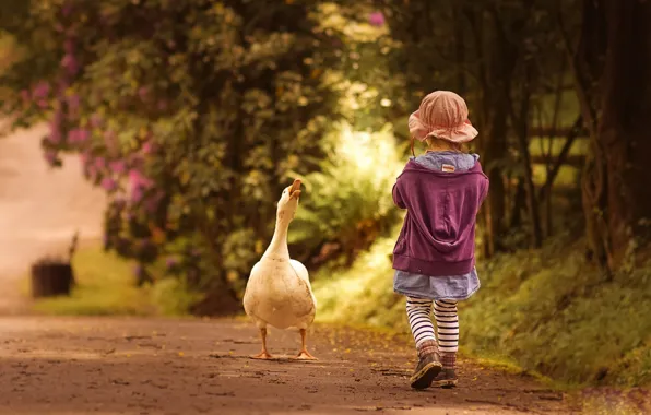 Picture road, girl, goose