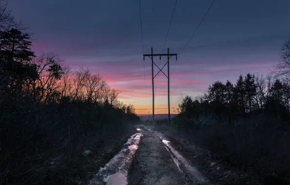 Road, night, power lines