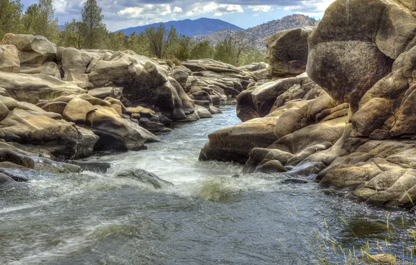 Forest, mountains, river, rocks, stream