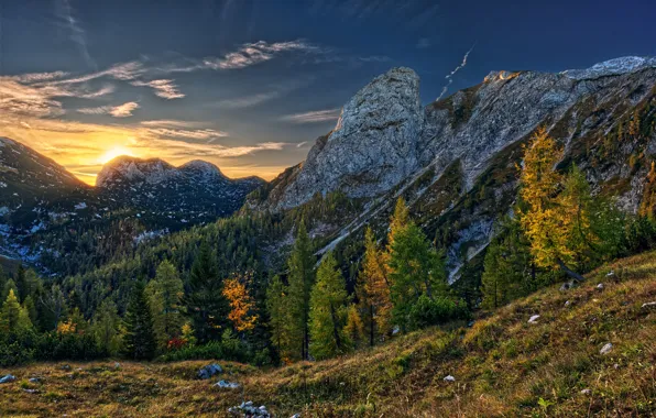 Picture autumn, trees, mountains, sunrise, dawn, Austria, Alps, Hochkogel Mountain