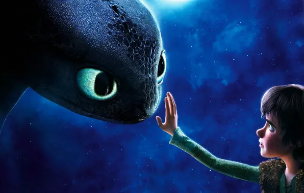Picture Hiccup, Toothless, How to train your dragon