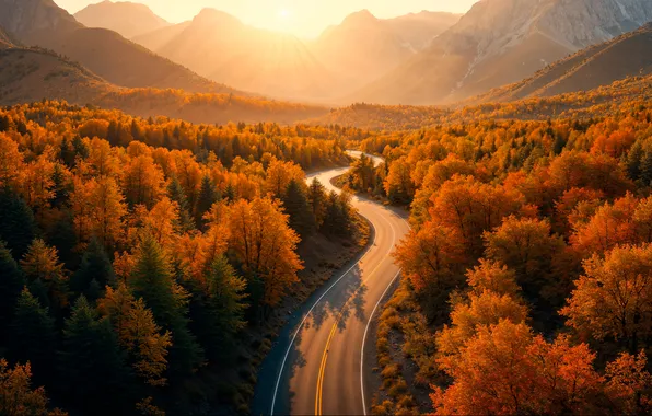 Road, autumn, forest, light, trees, mountains, fog, markup