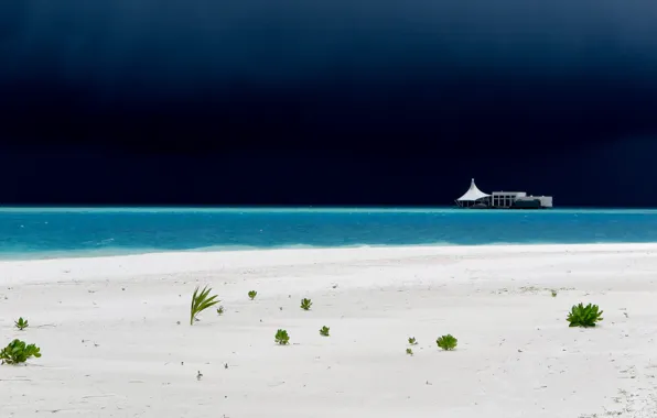 Sea, the storm, beach, landscape, storm, the Maldives, resort, sand.plant