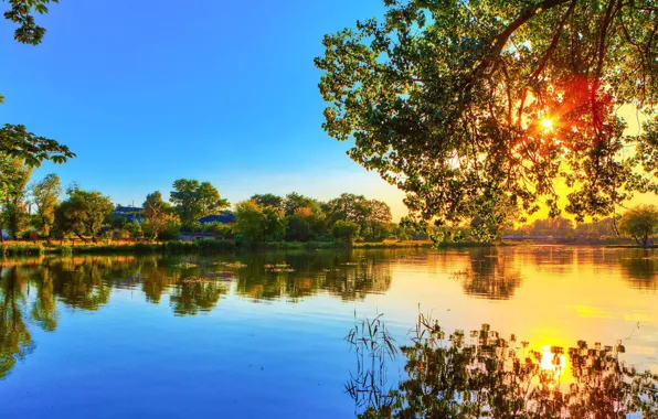 Picture grass, water, cloud, tree, plant, horizon, bank, waterway