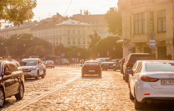 Road, machine, auto, summer, the sun, sign, people, home