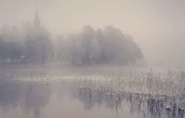 Picture fog, lake, morning