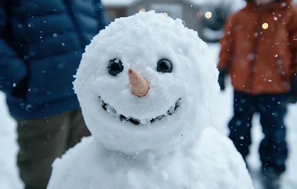 Winter, snow, nature, smile, people, carrot, Christmas, New year