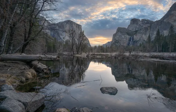 The sky, clouds, light, mountains, branches, reflection, stones, tree