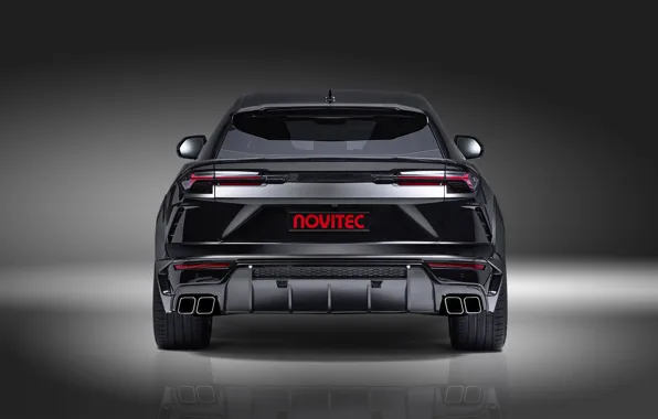 Lamborghini, crossover, Urus, Novitec, 2019, the view from
