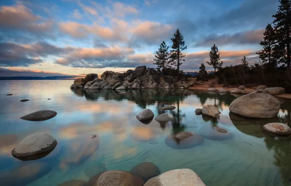 Forest, trees, lake, stones, shore