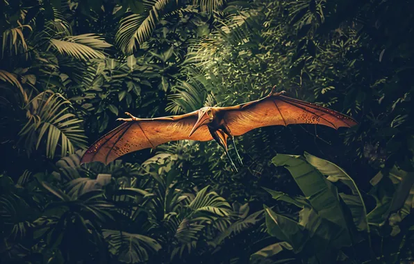 Flight, Wings, Dinosaur, Jungle, Animal, Digital art, Ancient animals, Extinct animals