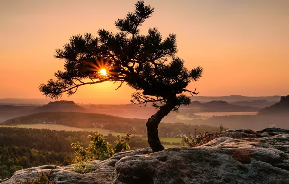 The sun, Mountains, Rays, Valley, Pine, Space