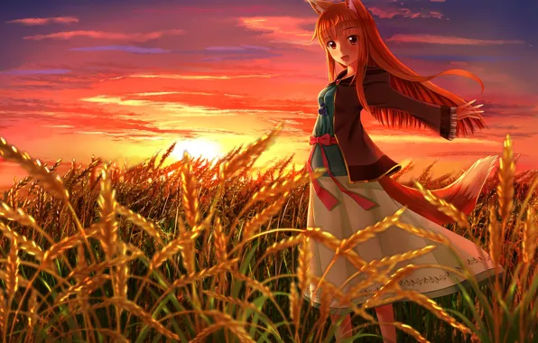 The sun, Field, Ears, Eyes, Anime, Wheat, Anime, Horo
