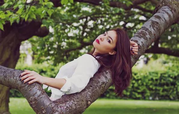 Picture summer, look, girl, trees, looks