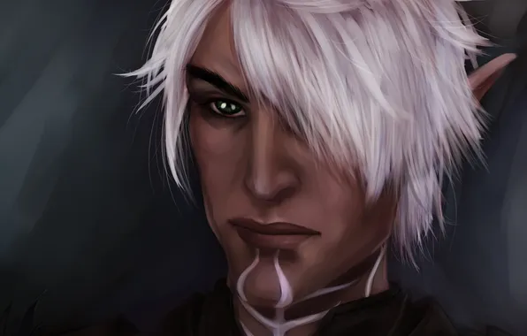 Picture face, elf, warrior, Dragon Age, Fenris