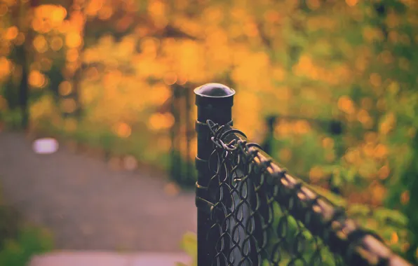 Picture the fence, fence, bokeh