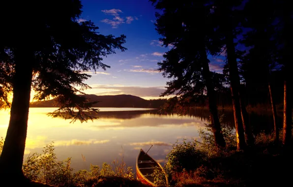 Trees, sunset, lake, Boat