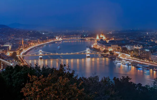 The sky, trees, night, bridge, the city, lights, building, panorama