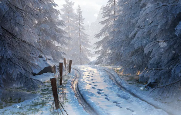 Winter, forest, snow, trees, nature, art, road. traces