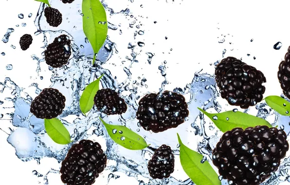 Water, squirt, berries, white background, BlackBerry, blackberry