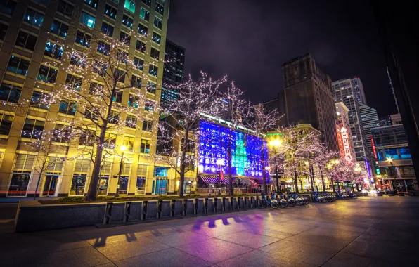 Trees, night, the city, lights, building, home, skyscrapers, Chicago