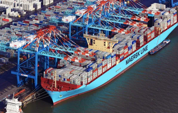 Picture Port, Top, The ship, Line, Cargo, A container ship, Cranes, Terminal