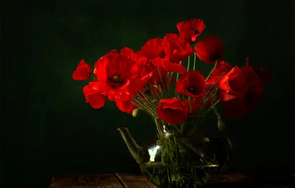 Maki, bouquet, kettle, still life