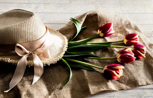 Hat, tulips, buds