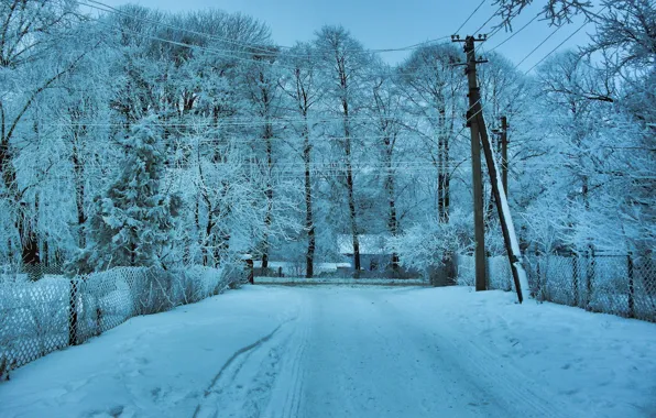 Picture winter, road, snow, trees, landscape, wire