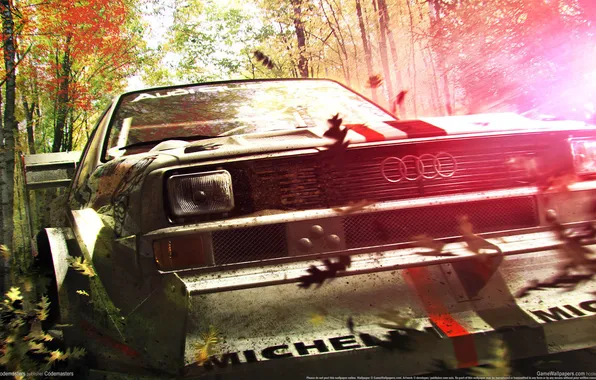 Picture machine, leaves, the game, Dirt 3