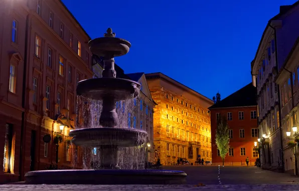 Picture night, lights, street, home, lights, fountain, Slovenia, Ljubljana