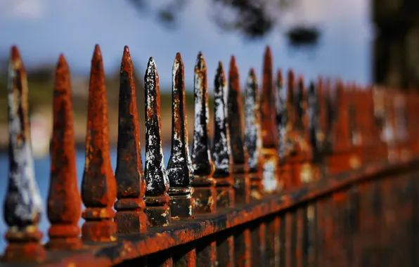 Picture macro, background, the fence