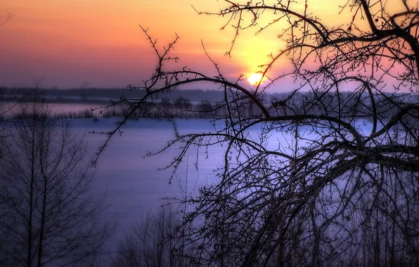 Picture winter, landscape, sunset, tree