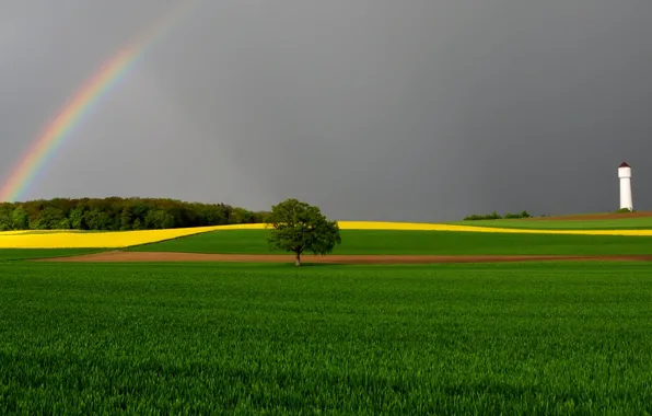 Picture the sky, tree, field, tower, rainbow