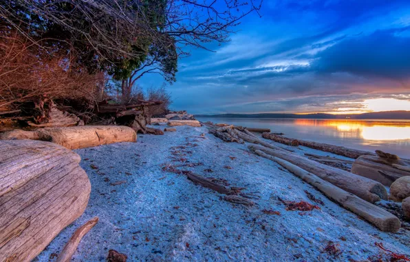 Picture forest, the sky, the sun, clouds, trees, sunset, river, stones