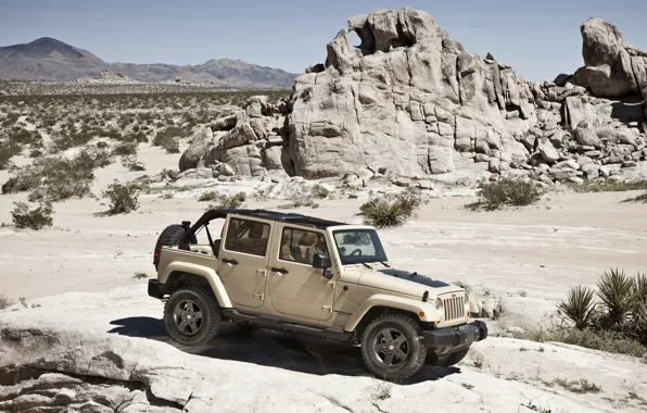 Picture car, Wrangler, Jeep, SUV., high, patency